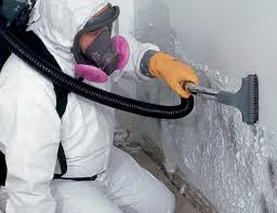 Best Mold Odor Removal Services in Dennis Port, MA